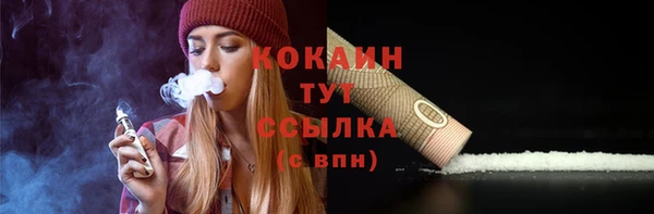 spice Аркадак
